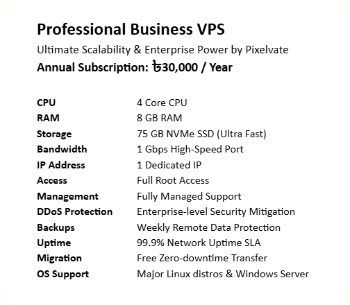 Professional VPS